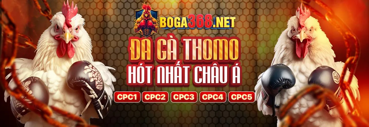 Hình ảnh chào mừng đăng nhập đá gà tiếp thomo an toàn và nhanh chóng